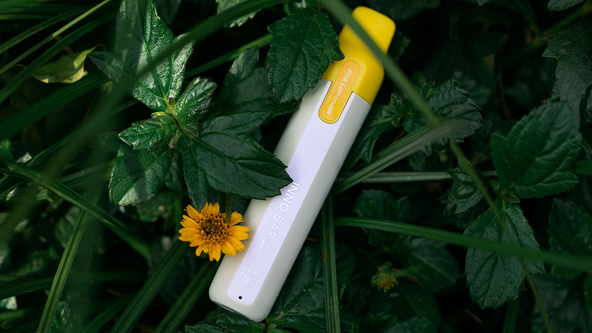 Innobar C1
